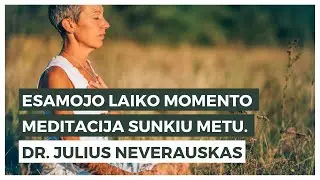 Esamojo laiko momento meditacija sunkiu metu. Dr. Julius Neverauskas