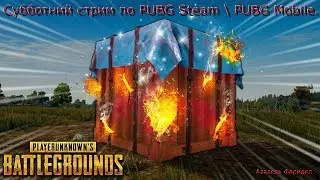 Субботний стрим по PUBG Steam \ PUBG Mobile.