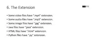 Free Python Lesson: Python File Extensions Explained