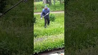 коси коса, пока роса