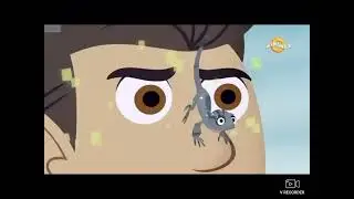 ￼￼wild Kratts intro ￼