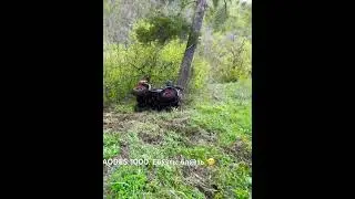 AODES 1000 переворот