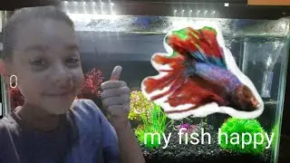 new fish tank