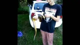 First time Python Handler