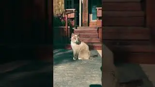 10 сентября 2023 г.