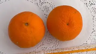 Гибрид Триплоид 