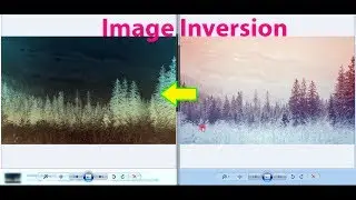 How to Invert the Image Colors Using Python
