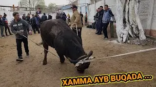 Нима учун ? Қуқон мол бозори нархлари бундай ?