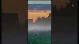 Страшные истории-Туман