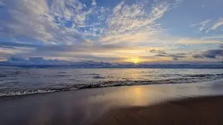 ЗОЛОТОЙ ПЛЯЖ. ЗЕЛЕНОГОРСК 2024