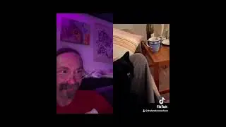 Two Cool Cats Watching Nyan Cat