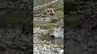 Sprint and rocks 🪨