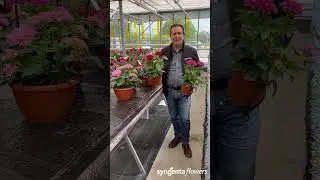 Roberto Lopez Perez - Pentas Starcluster | Viridalia 2024