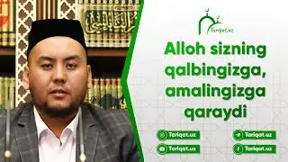 Аллоҳ сизнинг қалбингизга, амалингизга қарайди