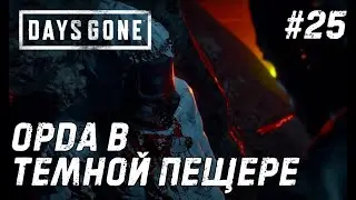 Days Gone #25 - Спасаем коллегу О’Брайана.