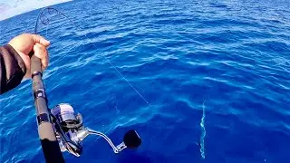 Jigging and Topwater Mackerel