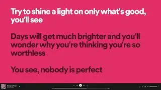 Davina Michelle - Nobody Is Perfect (Spotify Lyrics)