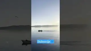 Dalmacija 💙 #music #song #love