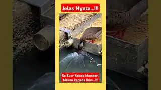 Subhanallah.... Indah nya Berbagi 😇