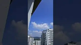 실제 상황! 신기한 하늘 현상.. 닥스훈트 강아지 (24. 9. 8)