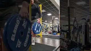 40 kg plates