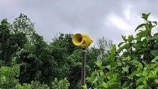 My New Backyard Siren - FIRST FULL VOLUME TEST - Chimes & Some Horn - My Backyard - 6/7/2026