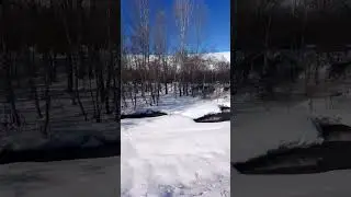 15 марта 2023 г.