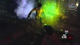 Black Ops 2 Zombies: Permanent Perks! How to get Permanent Quick Revive!