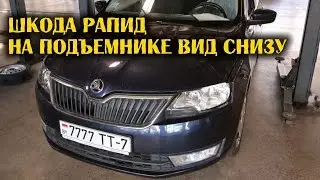 Шкода Рапид на подъемнике вид снизу