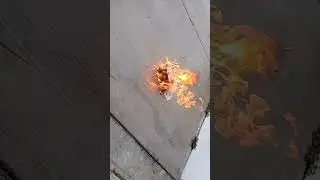 Spider inside Funkopop | So I burned my pop!