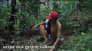 uripe ora gelem sukses