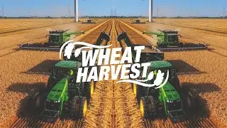 BIG time CART operator! | Wheat Harvest 2019
