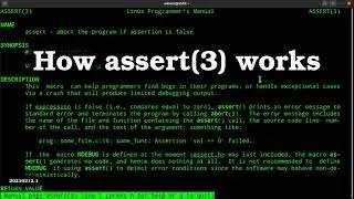 How to use assertions in C/C++ programs