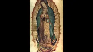 Virgin of Guadalupe