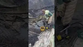 пересадка карася, чистка поливочного водоема.