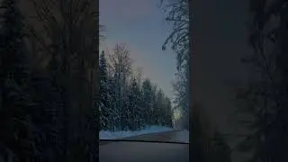 31 декабря 2023 г.