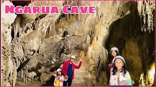 NGARUA CAVE In Takaka Hill Newzealand | #Besttouristdestination#