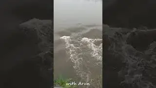 Chennai rain today live news | Water 4m Chembarambakkam lake to Adayar river 5 #shorts #சென்னை #மழை