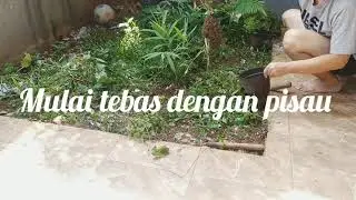 BERSIH BERSIH TAMAN MINIMALIS RUMAH TERBARU 2021 PART I