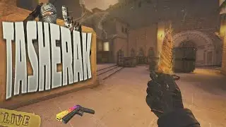 TASHERAK *** Muzzy Horsepower - CS:GO fragmovie