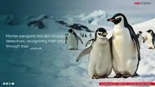Happy Mother's Day | Hikvision South Asia Team