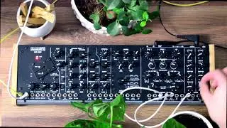 AnalogFX Ser 2020 Semi- Modular analog synthesizer with Formant filter (Synton Syrinx *1 ,MS-20 )