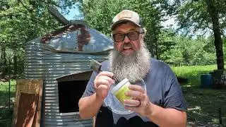 Chicken Coop Update | Gladis starts yet ANOTHER project