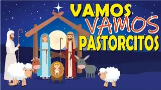 Vamos vamos pastorcitos + LETRA PRA CANTAR