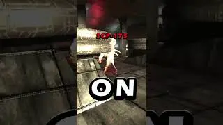 SCP: SL Fourth Wall Time Loop Juke-