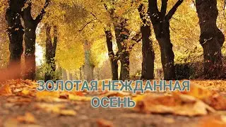 ЗОЛОТАЯ НЕЖДАННАЯ ОСЕНЬ 🍁🍁🍁//АЛЕКСЕЙ ДЕГТЯРЕВ