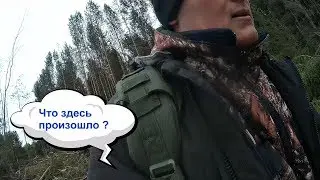 Пришел в Лес УЖАС и о чем поведала Малиновка