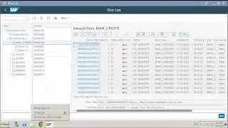 55. IDOC Reprocessing and Debugging