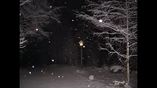 Zombie Uprising Snow Night / 좀비업라이징 눈의 밤.