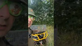 POURQUOI CAPTURER UN RAGONDIN ?